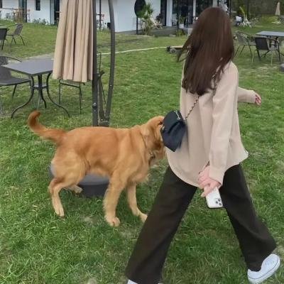风的第一声呼吸